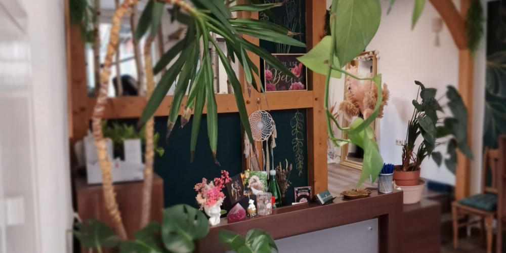 Studio Regalwand und Pflanzen